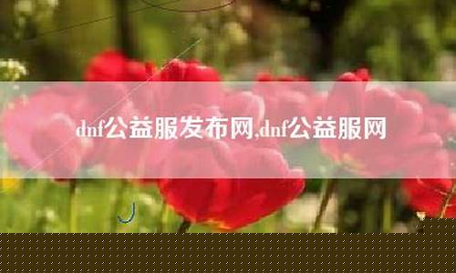 公益服网(公益服论坛)